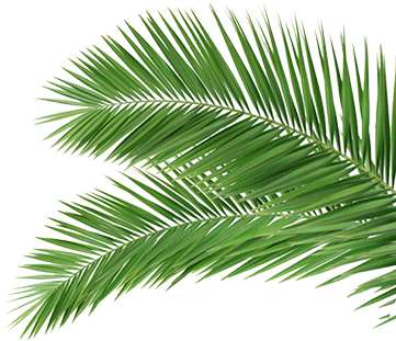 合作伙伴 合作伙伴